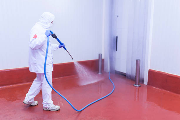 Best Driveway Pressure Washing  in Van Wert, OH